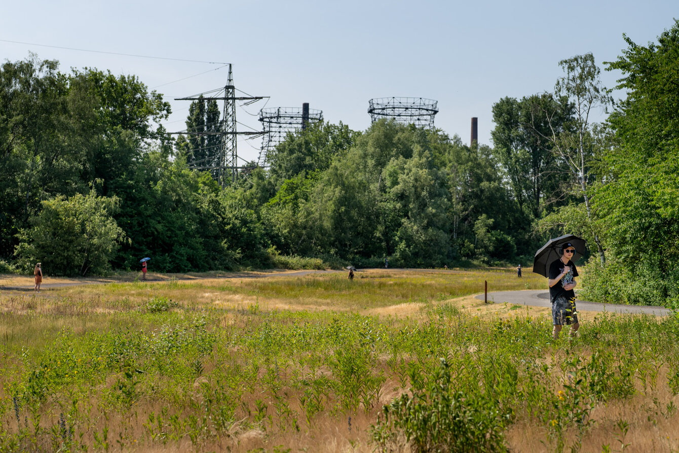 Halde der Zeche Zollverein