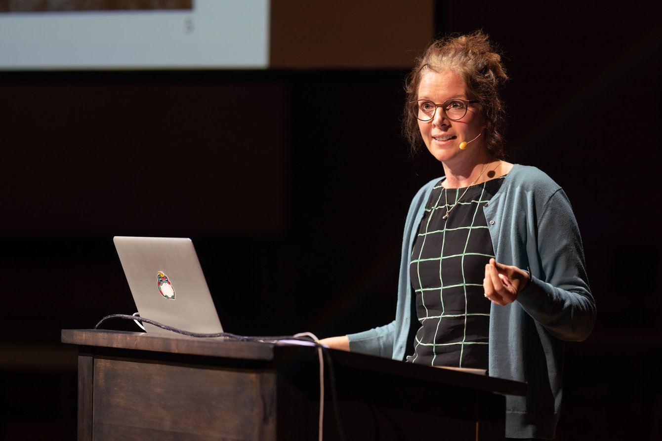 Birgit Schneider giving her lecture