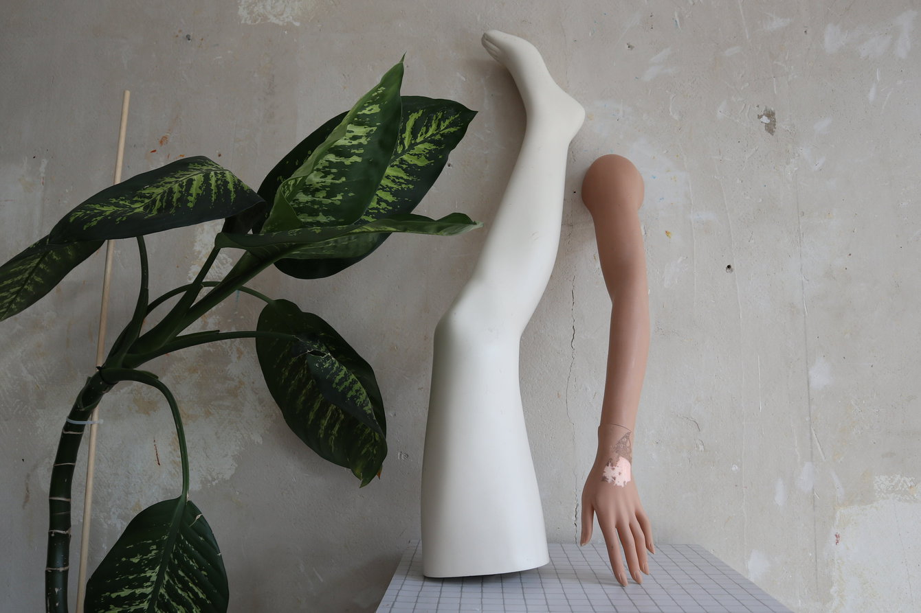 Eine Pflanze, Bein und Arm einer Schaufensterpuppe vor einer unverputzten Wand