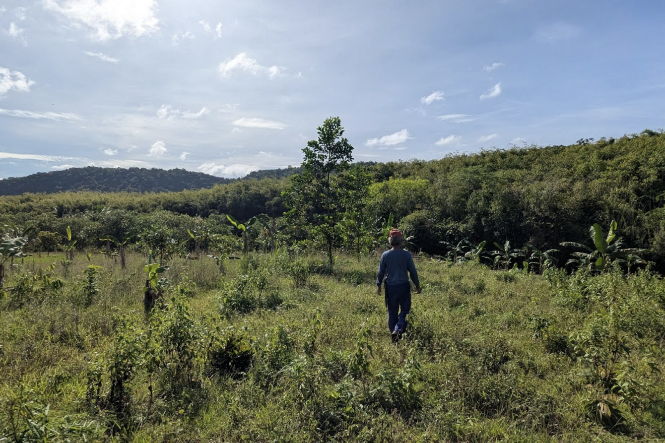 Eine Person in der Bildmitte steht in einer grünen, leicht hügeligen Landschaft, welche von mittelhohen bewachsen ist. Die Sonne scheint, der Himmel ist blau, wobei ein leichter Dunst und ein paar Wolken zu sehen sind.