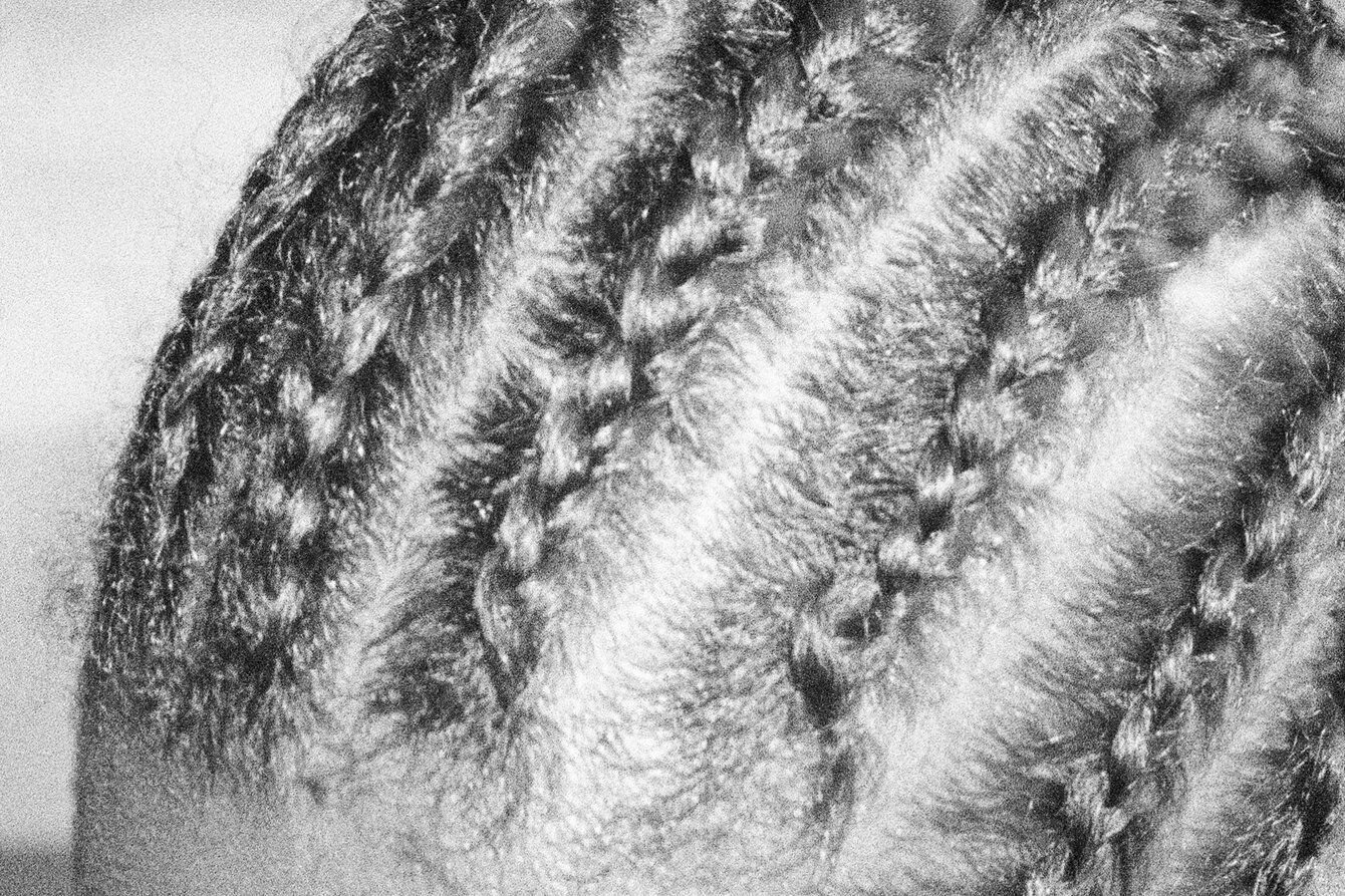 Ein Kopf mit Afrohaaren und geflochtenen Cornrows