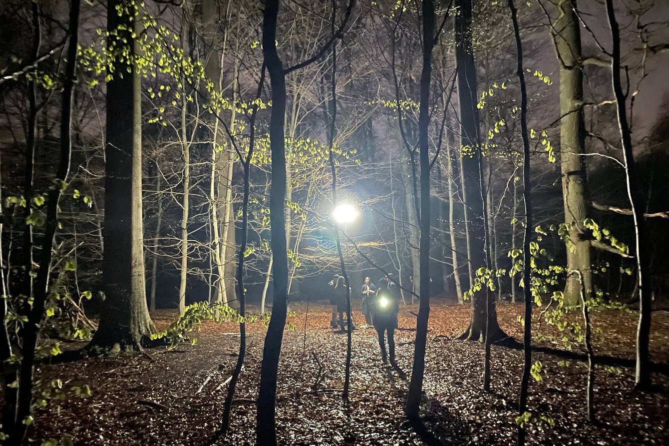 Das Bild zeigt eine Szene im Wald in der Dämmerung. Durch die Bäume scheint ein Lichtball. Im Hintergrund unter dem Lichtball stehen drei Menschen. 