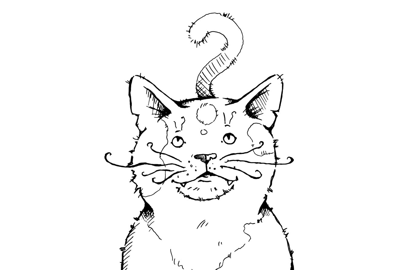 Illustration einer Katze
