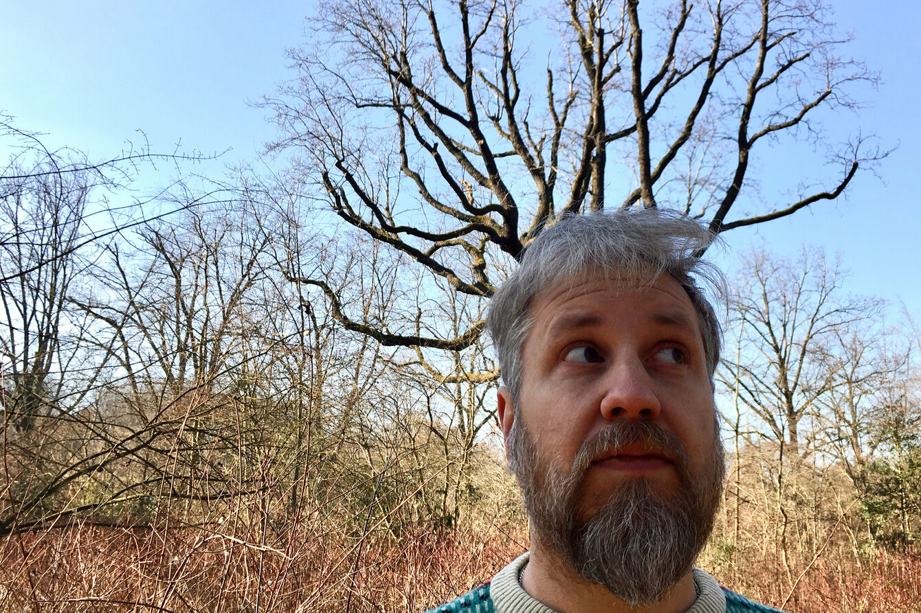 Ein Man mit einem Baum als Krone auf dem Kopf