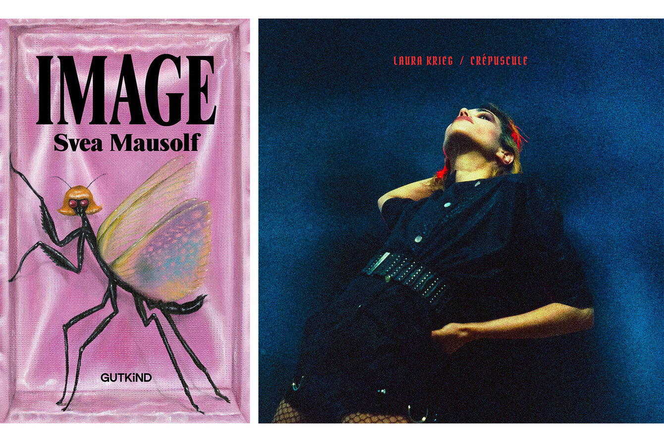 Links: Buchcover IMAGE von Svea Mausolf. Das Cover is pink, oben in schwarzer Schrift und in Versalien der Titel "IMAGE", darunter der Name der Autorin "Svea Mausolf". In der unteren Bildhälfte ein Insekt mit blonden Haaren und bunten Flügeln. In der unteren Bildhälfte in schwarzer Schrift der Name des Verlags "Gutkind". Daneben das Buchcover von Laura Kriegs Album. Es zeigt Laura Krieg vor einer blauen Wand. Darüber in roter Schrift der Text "Laura Krieg" und der Name des Albums "Crepuscule".