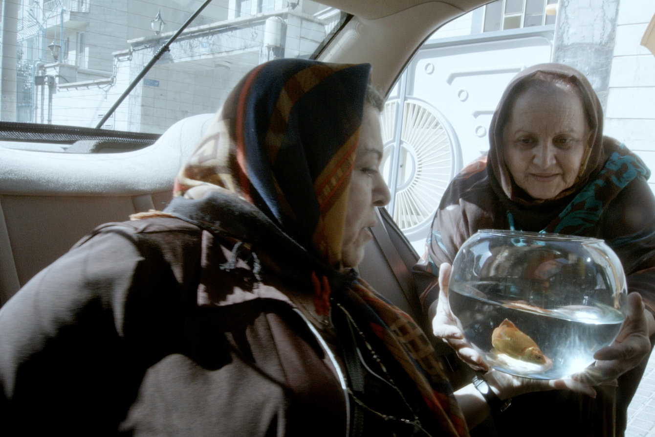 Zwei ältere Frauen mit einem Goldfischglas in einem taxi
