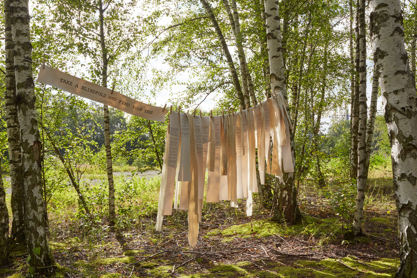 Banner mit Botschaften hängen zwischen Bäumen über einem Waldweg