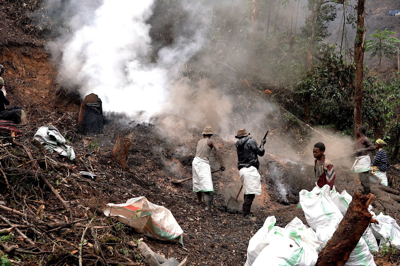Das Foto zeigt einen gerodeten Hang, aus dem dunklen Waldboden steigt Rauch auf. Mehrere Menschen schütten mit Schaufeln Erde auf, um die Glut einzudämmen.