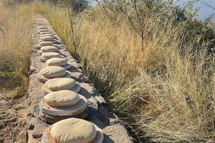 Dozens of round flatbreads lie in a row in the sun