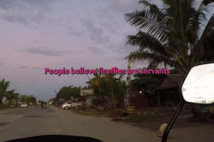 A picture of a street, with a palm tree visible on the right-hand side, overlapping a side mirror. In the middle of the picture, the words “People believe fireflies are servants” are written in pink letters.