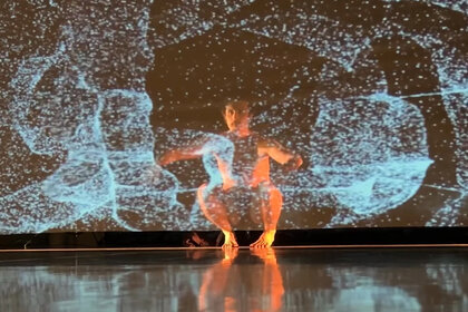 Alireza Mirmohammadi performt auf der Bühne. Das Foto zeigt Alireza auf dem Boden hockend, hinter einem transparenten Stoff, auf den ein Bild projiziert wird. 