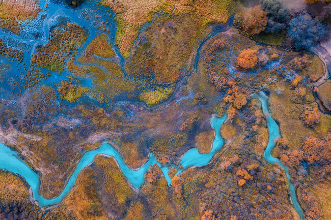 Luftaufnahme eines sich schlängelnden türkisfarbenen Flusses, der durch eine farbenfrohe Herbstlandschaft fließt. Das Bild zeigt lebhafte Kontraste zwischen dem strahlend blauen Wasser, dem orange-braunen Laub und den grünen Vegetationsflecken, wodurch ein abstrakter, malerischer Effekt entsteht. Bäume und Sträucher in verschiedenen Herbstfarben sind über die Szene verstreut.
