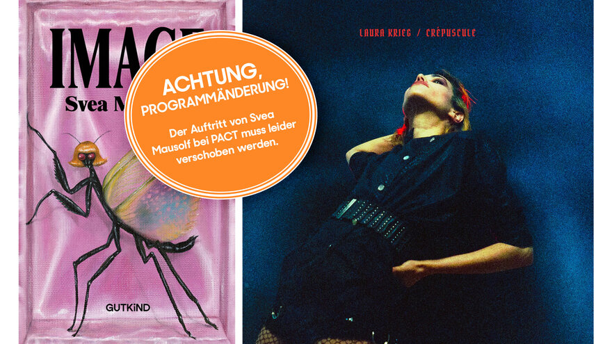 Links: Buchcover IMAGE von Svea Mausolf. Das Cover is pink, oben in schwarzer Schrift und in Versalien der Titel "IMAGE", darunter der Name der Autorin "Svea Mausolf". In der unteren Bildhälfte ein Insekt mit blonden Haaren und bunten Flügeln. In der unteren Bildhälfte in schwarzer Schrift der Name des Verlags "Gutkind". Daneben das Buchcover von Laura Kriegs Album. Es zeigt Laura Krieg vor einer blauen Wand. Darüber in roter Schrift der Text "Laura Krieg" und der Name des Albums "Crepuscule".